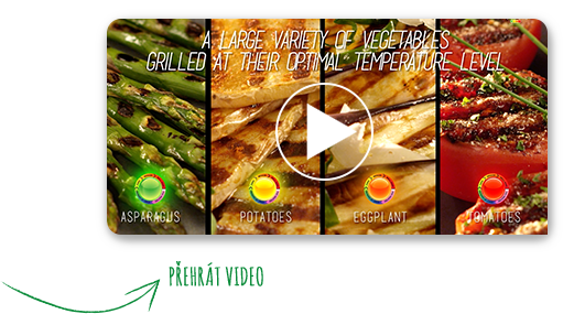 A large variety of vegetables grilled at their optimal temperature level | Play the video